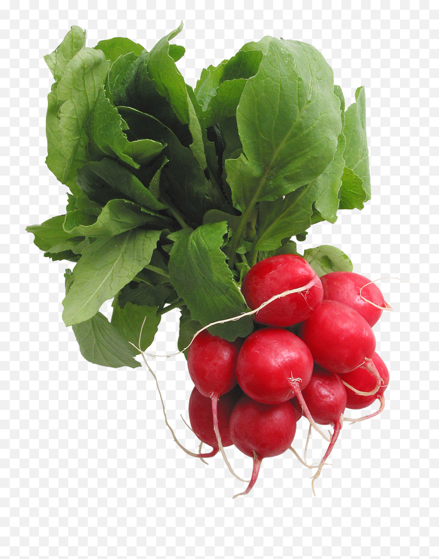 Hq Vegetables And Fruits Transparent Png Images - Free Radishes Png,Vegetables Transparent Background