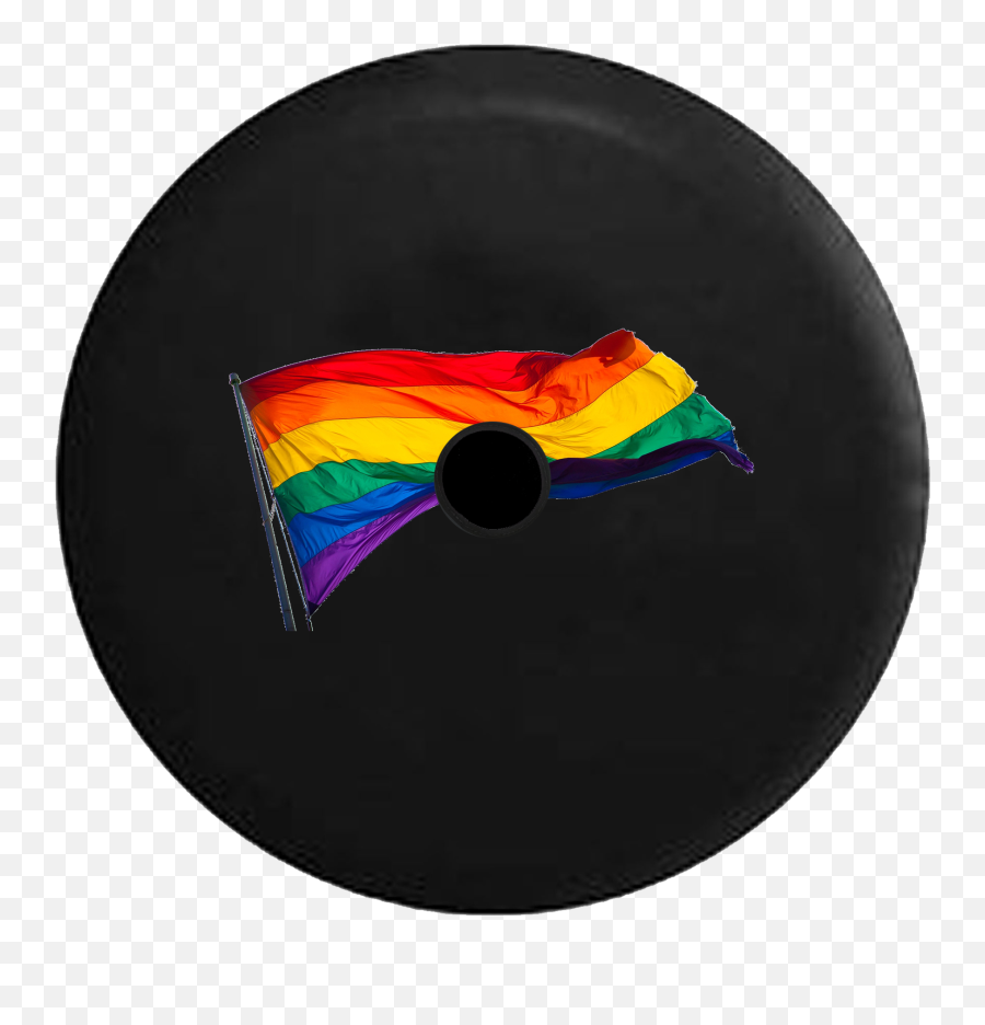 2018 2019 Wrangler Jl Backup Camera Gay - Jeep Tire Cover Pride Png,Jeep Wrangler Gay Icon