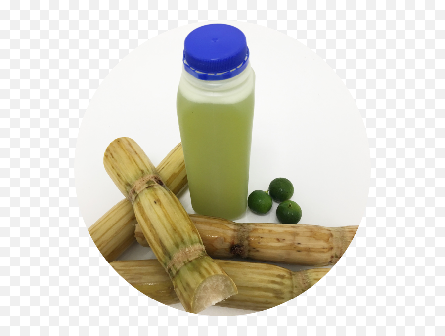 Fresh Sugarcane Juice Png
