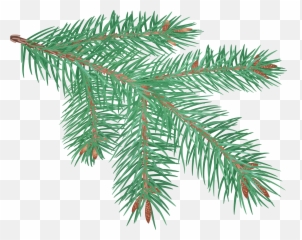 Branch Clipart Transparent Png