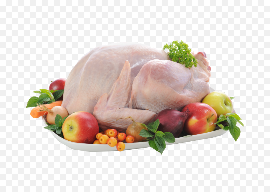 Chicken Png Free Commercial Use Images - Chicken Meat Png,Chicken Png