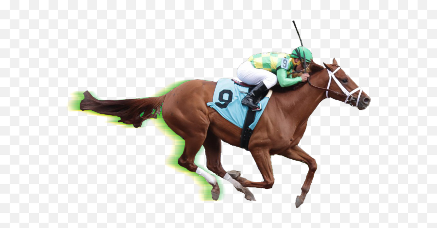 Race Horse Png - Rein,Racehorse Icon
