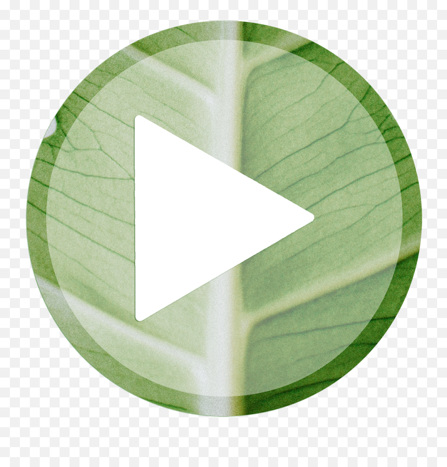 Episode 006 Elin Fyre U2014 Among The Jungle - Horizontal Png,Green Play Icon