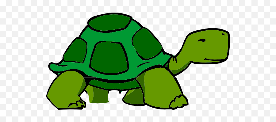 Tortoise Vector - Transparent Background Turtle Clipart Png,Cute Turtle Png