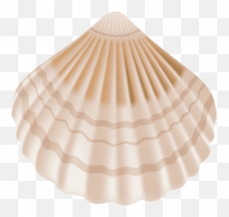Seashell Clipart Png - Transparent Background Sea Shell Clip Art,Shell Png