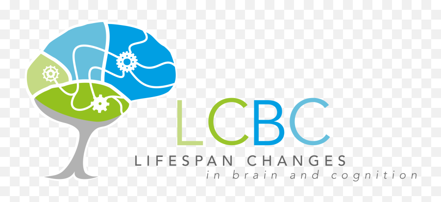 Lcbc - Center For Lifespan Changes In Brain And Cognition Working Memory Png,Brains Png