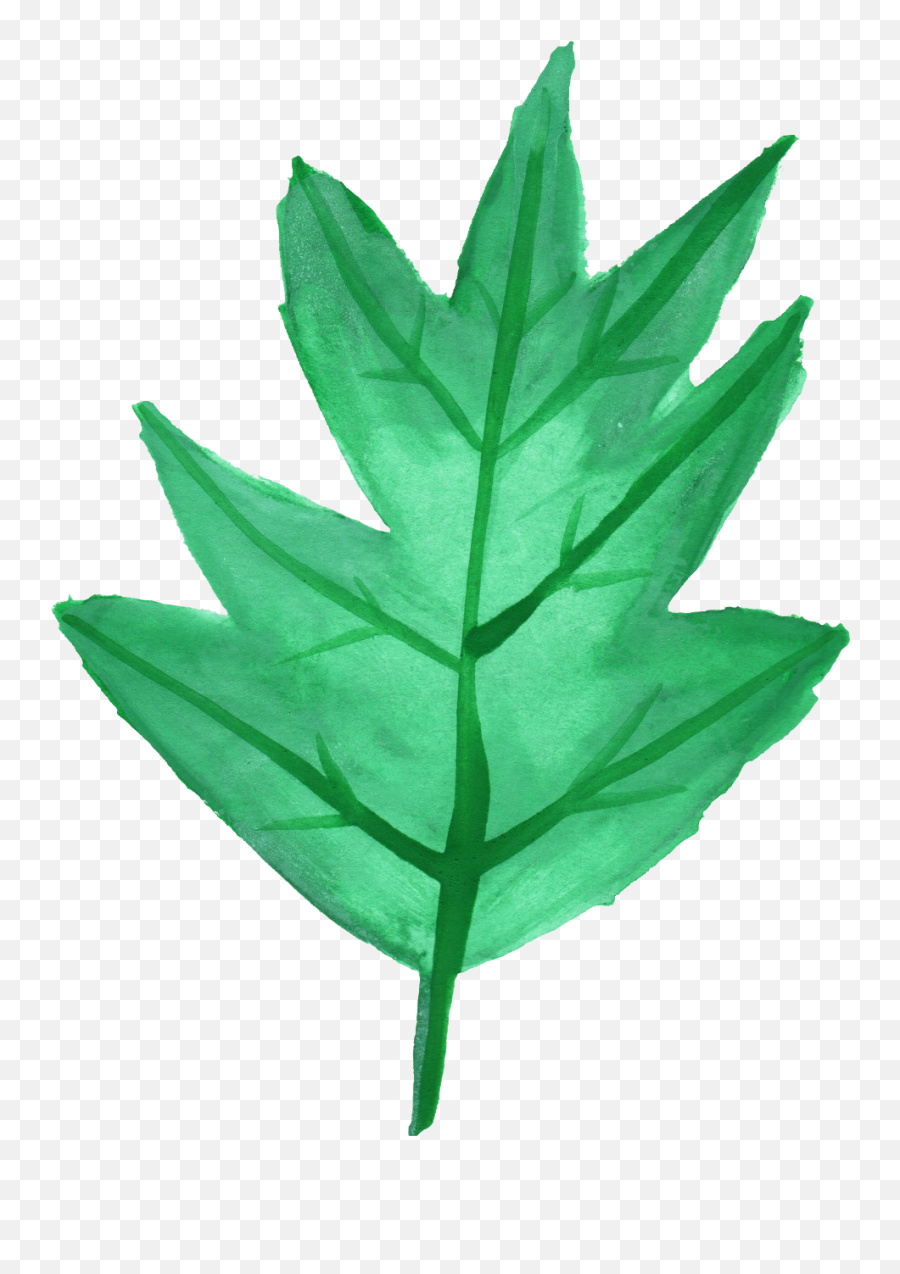 25 Watercolor Leaf Png Transparent Vol 3 Onlygfxcom - Maple Leaf,25 Png