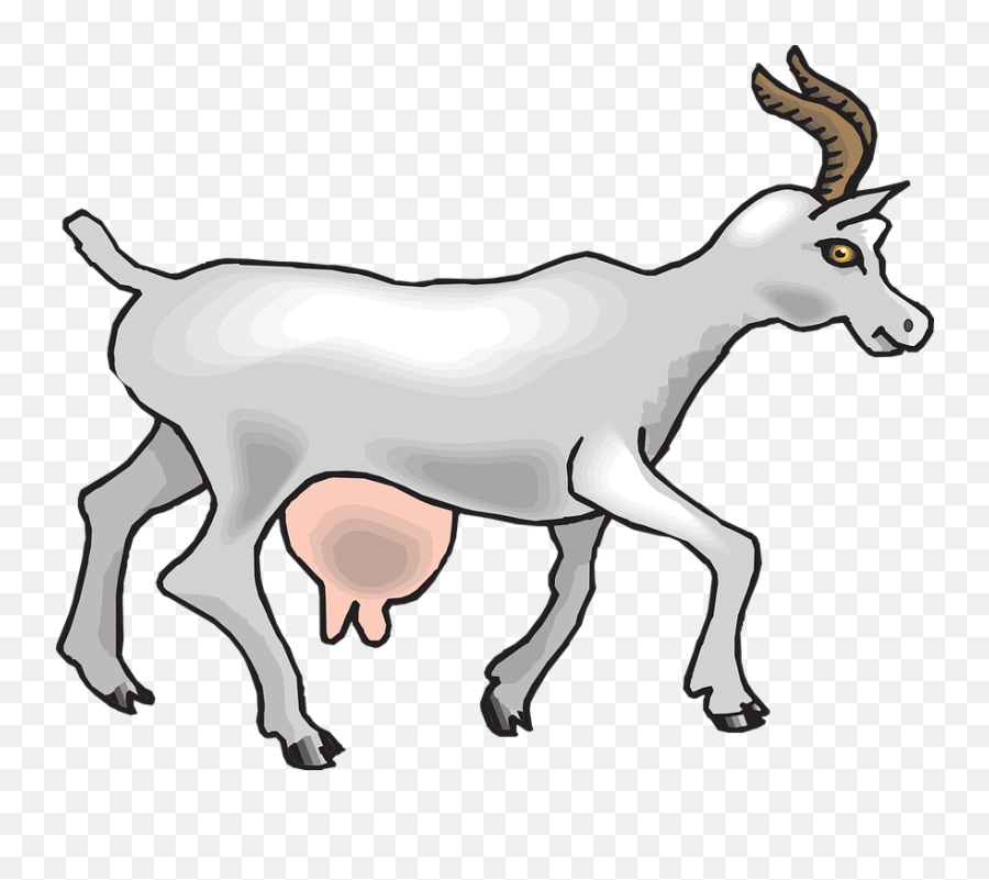 Animated Goat Png Transparent Goatpng Images - Animal Gives Us Milk,Goat  Transparent Background - free transparent png images 