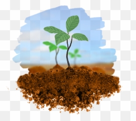 Planting Trees Png 4 Image - Pics