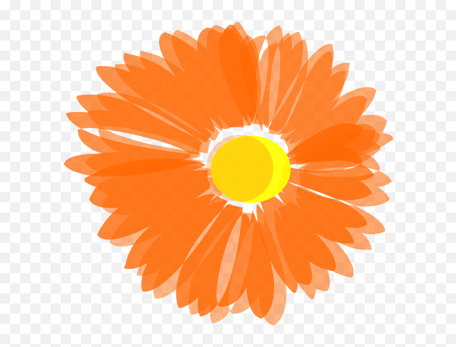Fall Flower Png - Fall Flowers Clipart Orange Flower Clip Orange Flower Vector Png,Flowers Clip Art Png