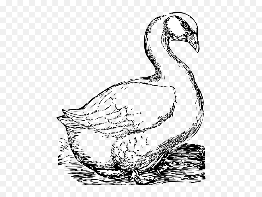 Royalty Free Public Domain Clipart - Goose Clip Art Png,Geese Png