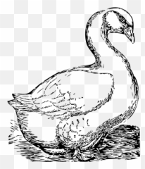 Royalty Free Public Domain Clipart - Goose Clip Art Png,Geese Png