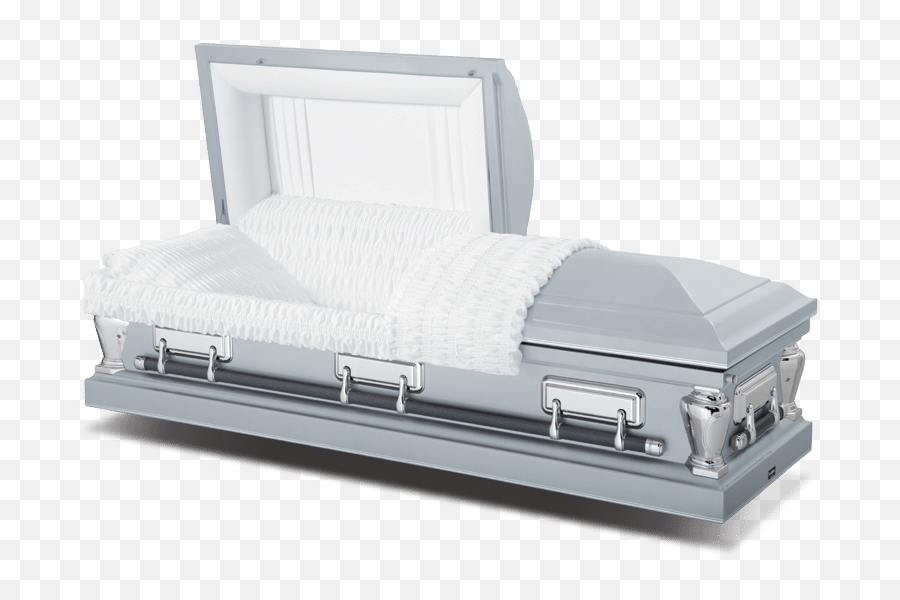 Virgo Silver Png Casket