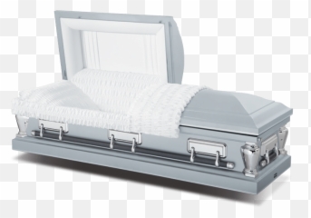 Virgo Silver Png Casket