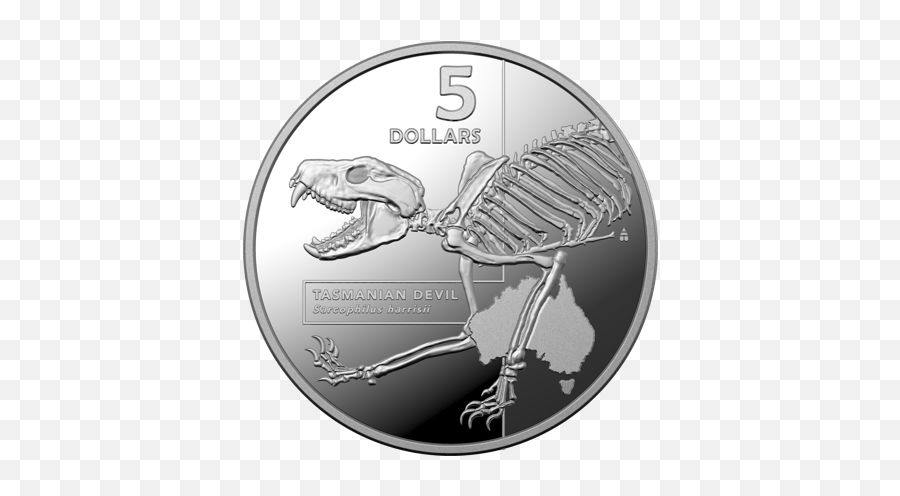 Coin Pack 5 Proof 2020 Ag 40mm Australian Animal Skeleton - Inside Most Dangerous Silver Coin Png,Png Taipan