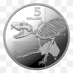 Coin Pack 5 Proof 2020 Ag 40mm Australian Animal Skeleton - Inside Most Dangerous Silver Coin Png,Png Taipan