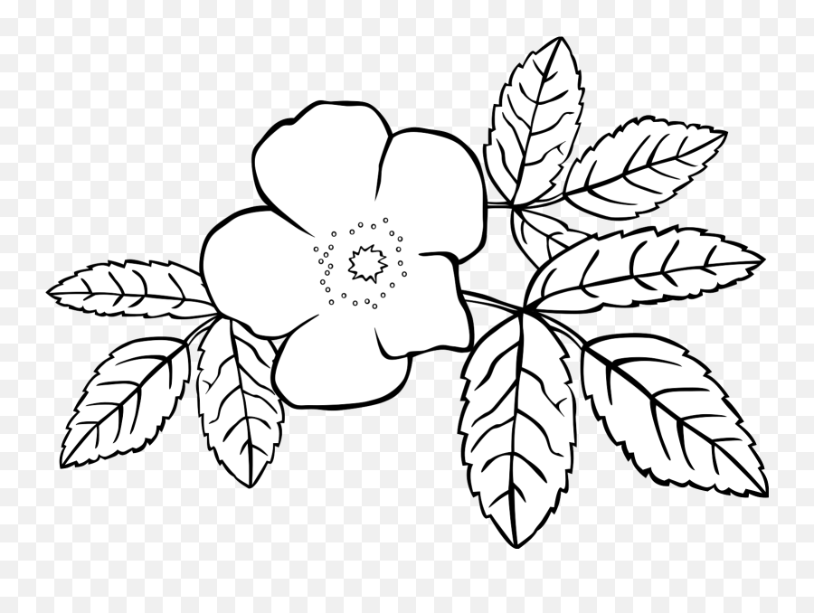 Rose Flower Svg Vector Clip Art - Svg Clipart Png,Rose Outline Png
