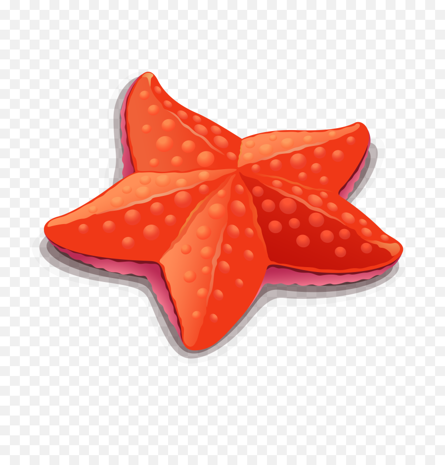 Starfish Clipart Transparent Cartoon - Jingfm Png,Starfish Clipart Transparent Background