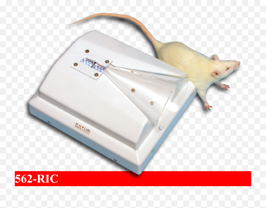 Lab Rat Png - Rodent Injection Cone Rat 2515073 Vippng Tail Vein Injection Restrainer,Rat Transparent Background