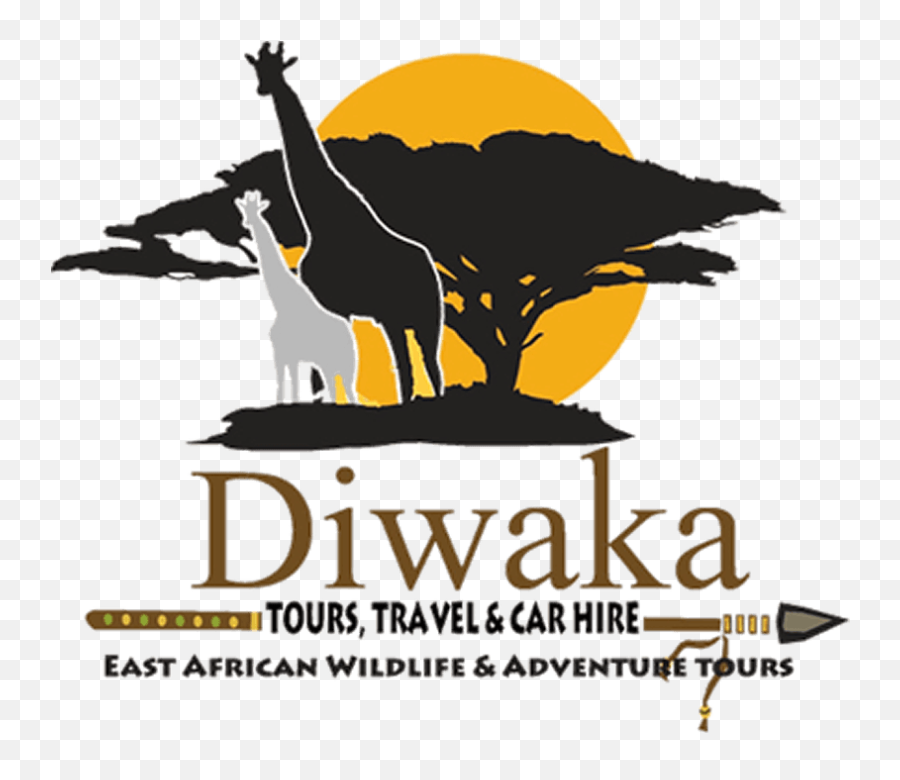 Kenya Safaris Wildlife Luxury Safari Diwaka Tours U0026 Travel - Language Png,Shoreline Mafia Logo