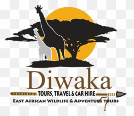 Kenya Safaris Wildlife Luxury Safari Diwaka Tours U0026 Travel - Language Png,Shoreline Mafia Logo