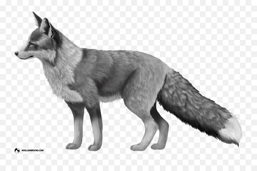 Download Hd Platinum - Colored Red Fox Red Fox Silver Fox Transparent Background Fox Png,Fox Transparent