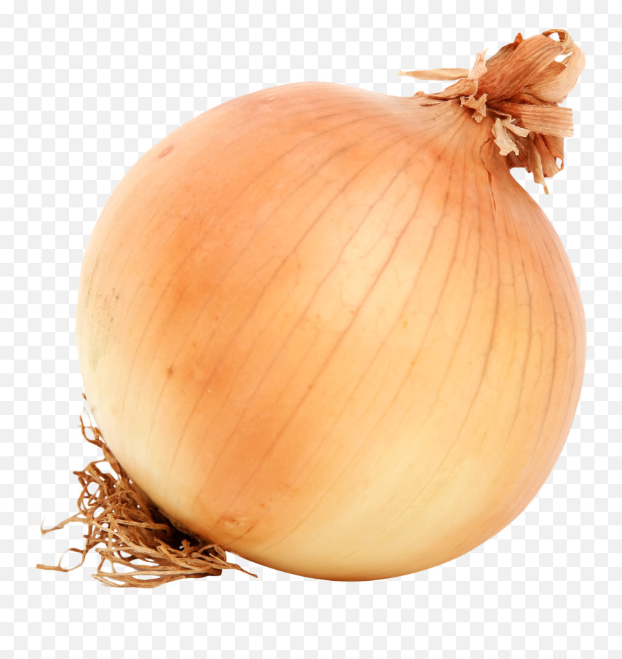 Onion Clipart Peel Transparent Free - Onion Png,Page Peel Png