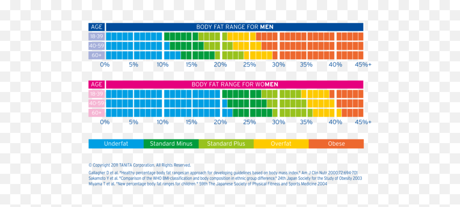 Understanding Tanita Measurements - Body Fat Percentage Asian Range Png,Body Fat Icon