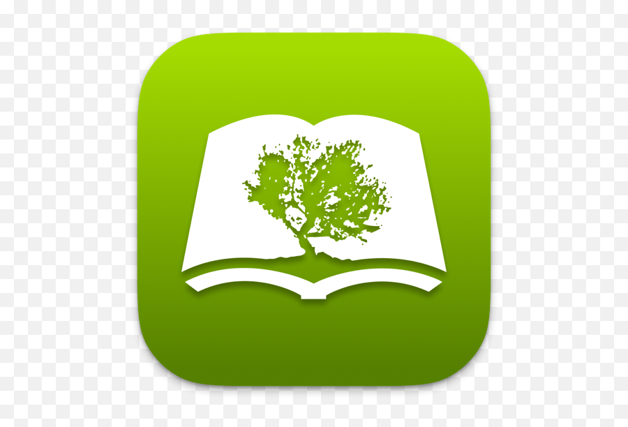 Bible Study - Olive Tree App Png,Bible Study Icon