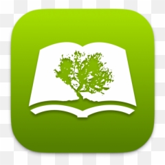 Bible Study - Olive Tree App png