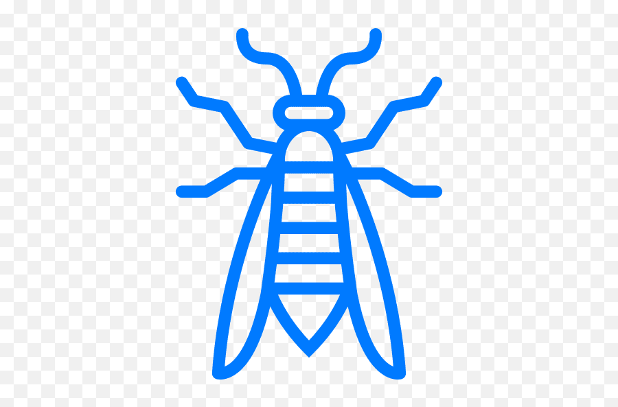 Sitelock Website Security U0026 Malware Protection - Drawing Of Fig Wasp Png,Malware Protection Icon