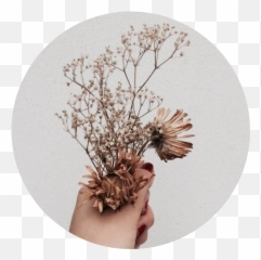 Download Tumblr Aesthetic Brown Flower Flowers Png