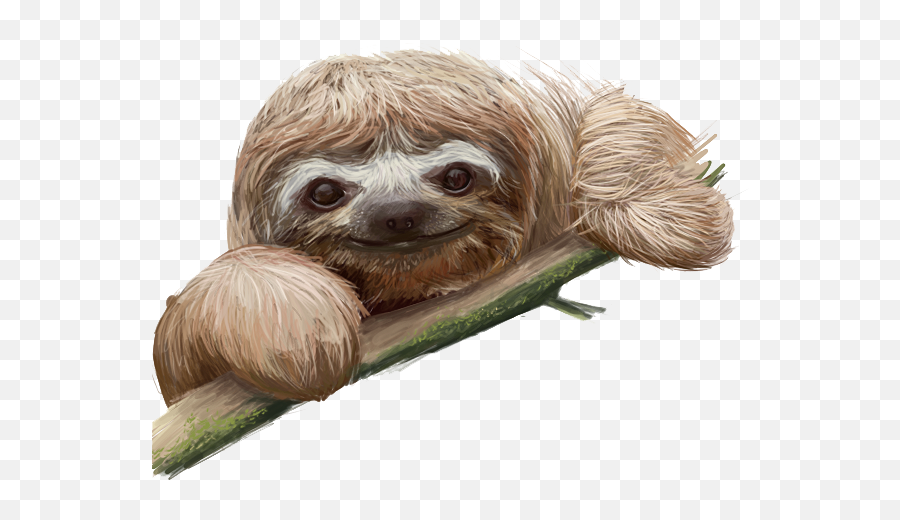 Library Of Transparent Background Sloth - Sloth Transparent Background Png,Sloth Png