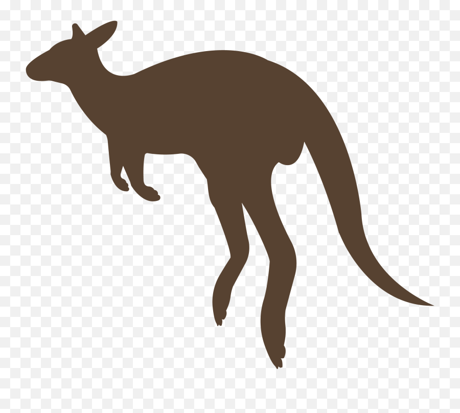 Download Sour Kangaroo Chasing The Whos Audition - Kangaroo Kangaroo Silhouette Brown Png,Kangaroo Transparent Background