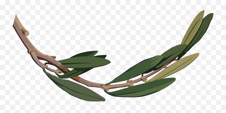 Olive Tree Illustration Png Clipart - Olive Branch,Olive Tree Png