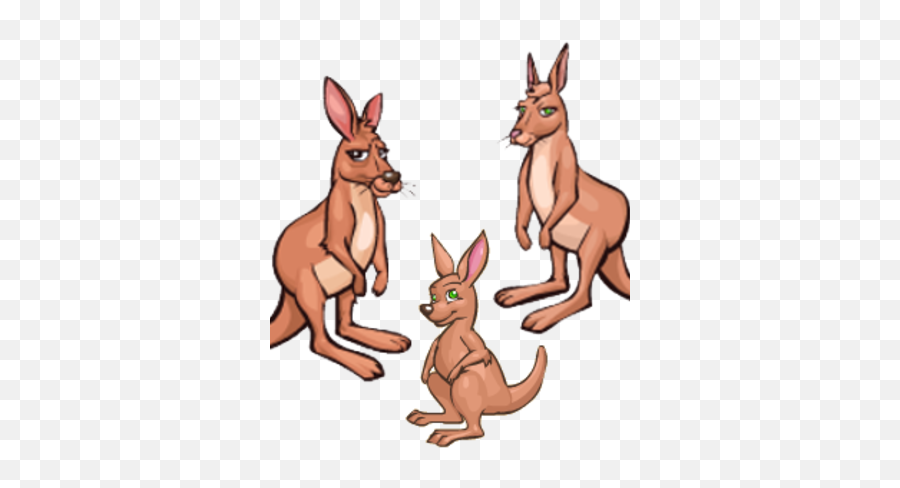Red Kangaroo Zoomumba Wiki Fandom - Cartoon Png,Kangaroo Png