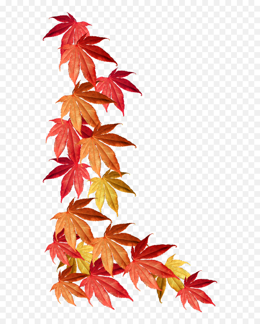 Autumn Clipart - Transparent Background Fall Leaves Border Png,Autumn Leaves Png