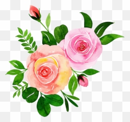 Free Png Floral Bouquets - Garden Roses,Florals Png