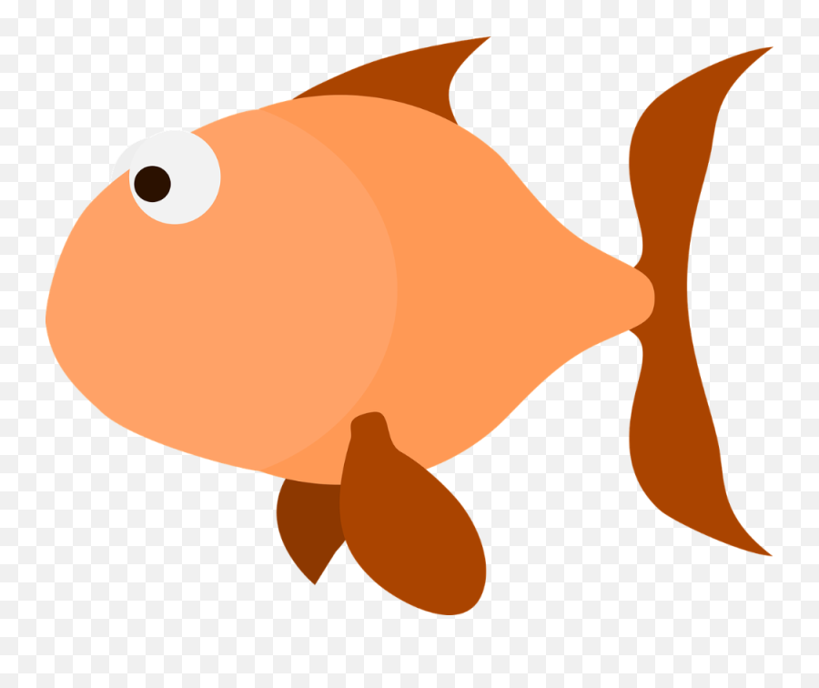 Goldfish Png - Desenho Peixe Laranja Png,Goldfish Transparent Background
