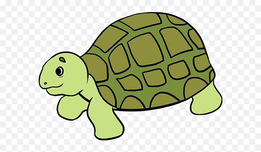 How To Draw Sea Turtle - Easy Drawing Of Sea Animals Clipart Png,Cartoon  Animal Png - free transparent png images 