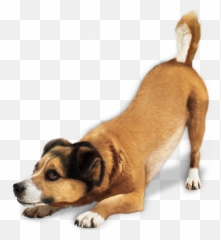 Transparent Png Svg Vector File - Dog Drawing Png,Cute Dog Png - free ...