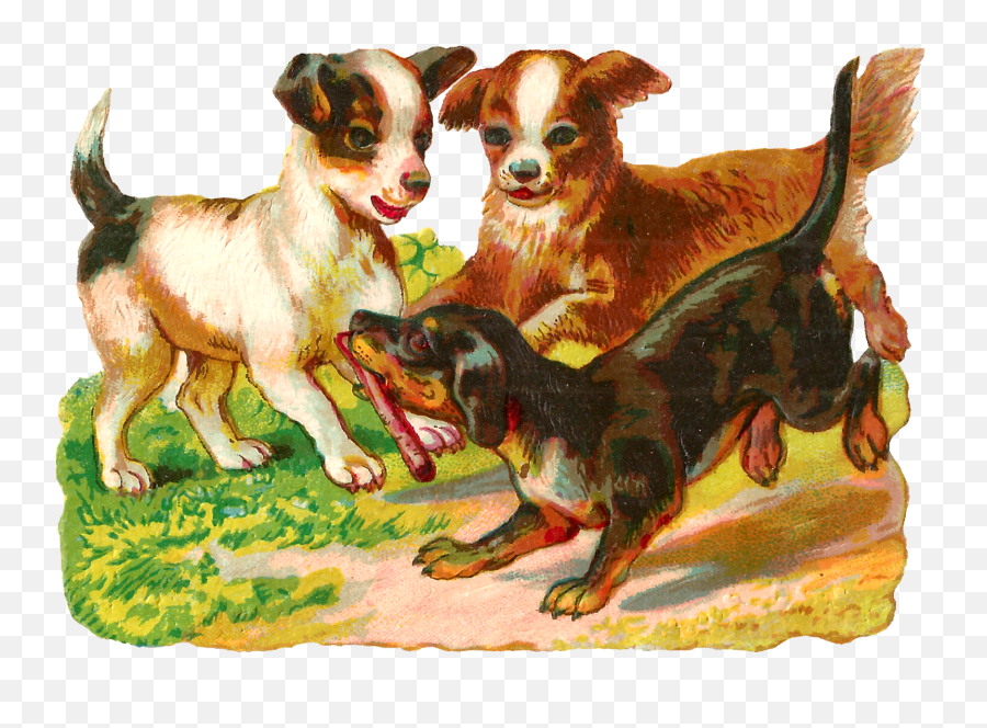Dog Playing Puppy - Three Dogs Poem Png,Puppies Png