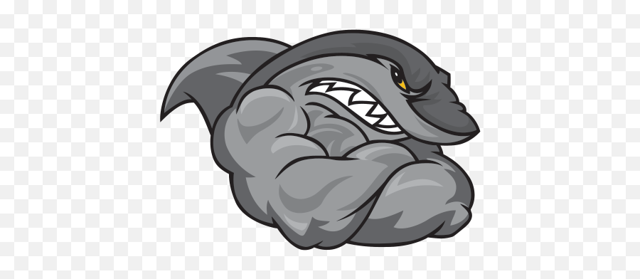 Download Muscle Clipart Shark - Logo Shark Png Png Image Burleigh Bull Sharks Cricket,Muscle Png