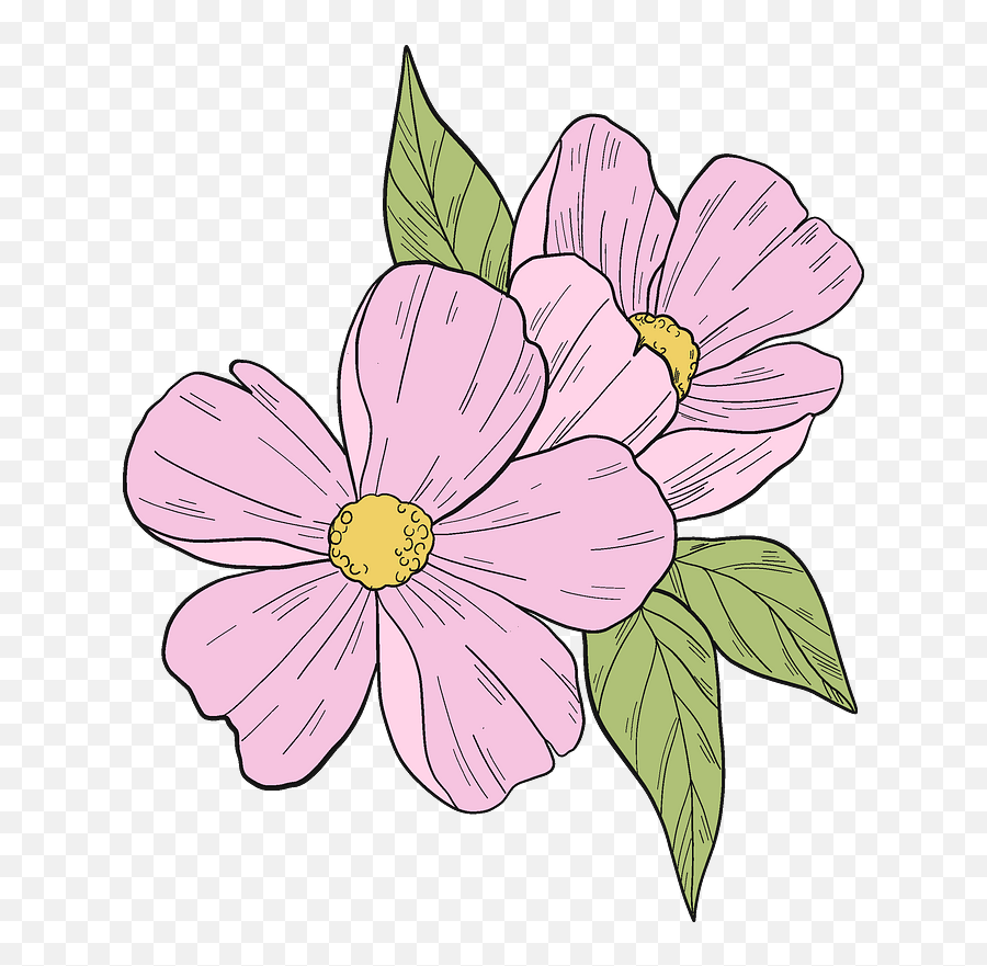 Pink Flowers Clipart Free Download Transparent Png Creazilla - Flowers Clipart,Flowers Transparent Png