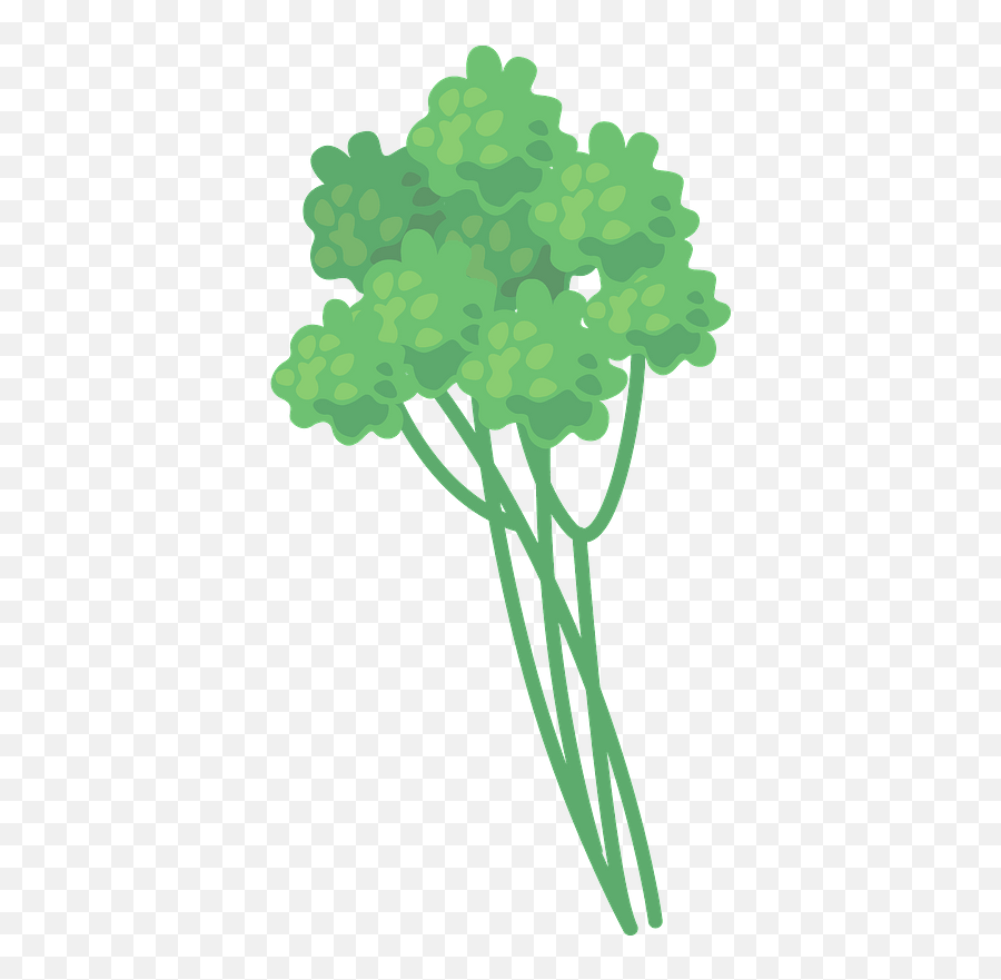 Parsley Clipart Free Download Transparent Png Creazilla - Fresh,Parsley Png