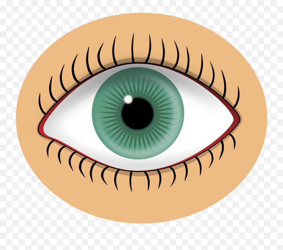 Blue Eye - 1573831523 Free Svg Eye Sense Organs Clipart Png,Blue Eye Png