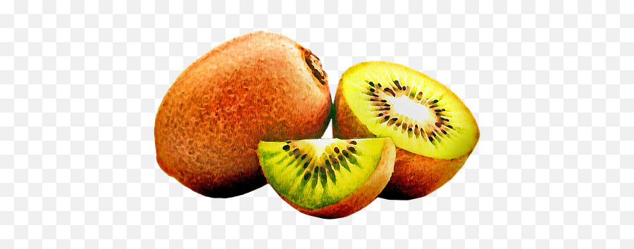Free Kiwi Fruit Illustrations - Superfood Png,Grapefruit Icon