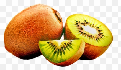 Free Kiwi Fruit Illustrations - Superfood Png,Grapefruit Icon