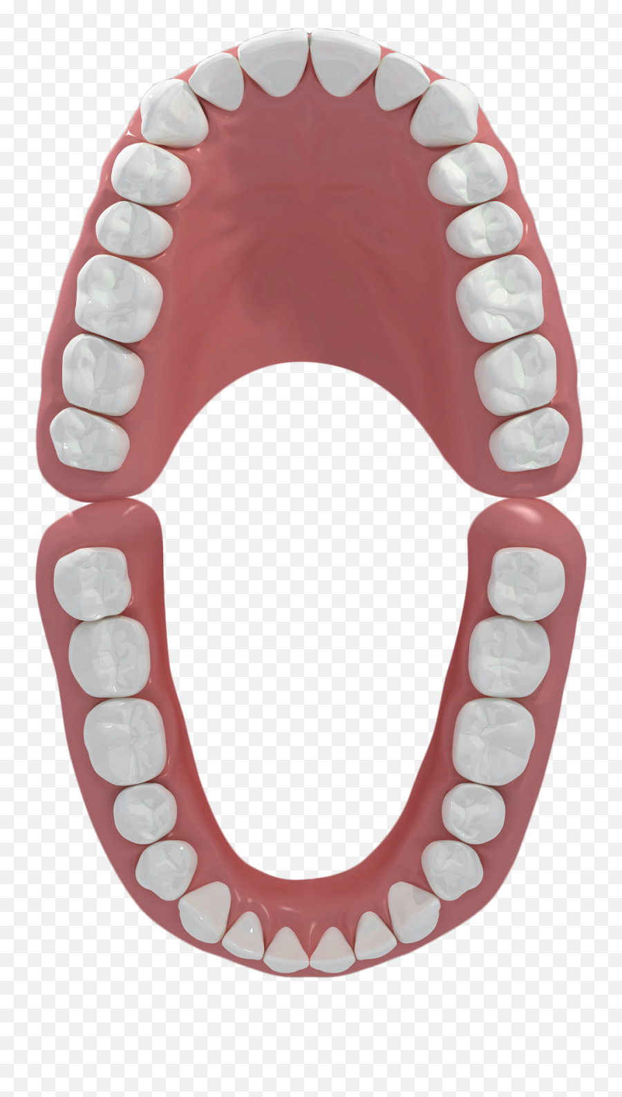 Configure The Best Dental Prosthetic Solution Thommen Medical - Dot Png,Prosthetic Icon