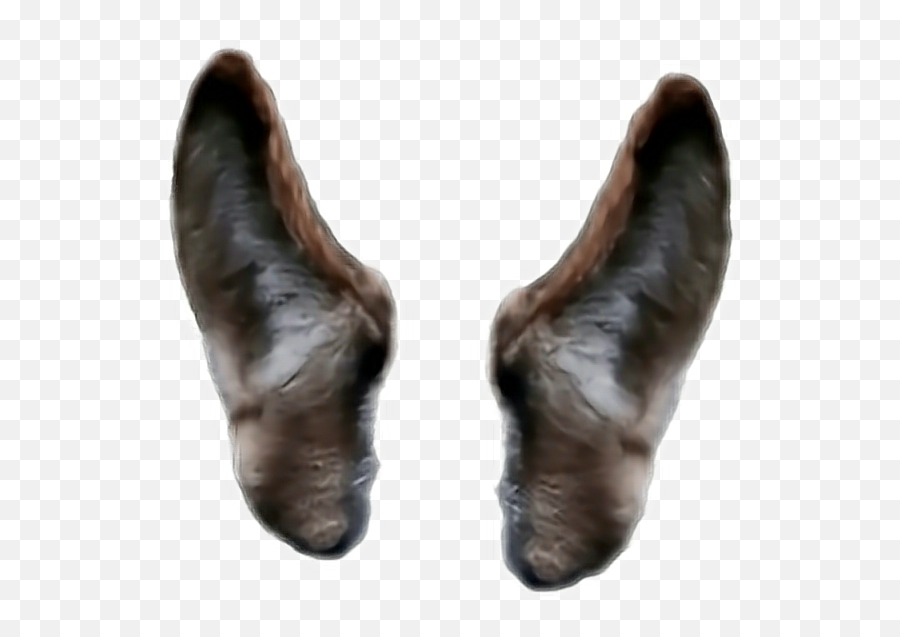 Wolf Ears Png Transparent - Wolf Ears Png,Mickey Mouse Ears Png